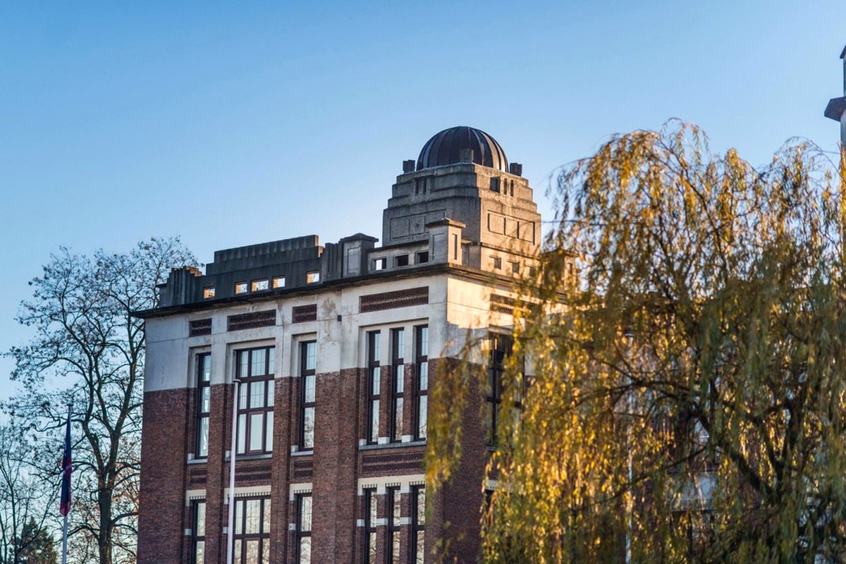 An older city building framed by trees in soft afternoon light.